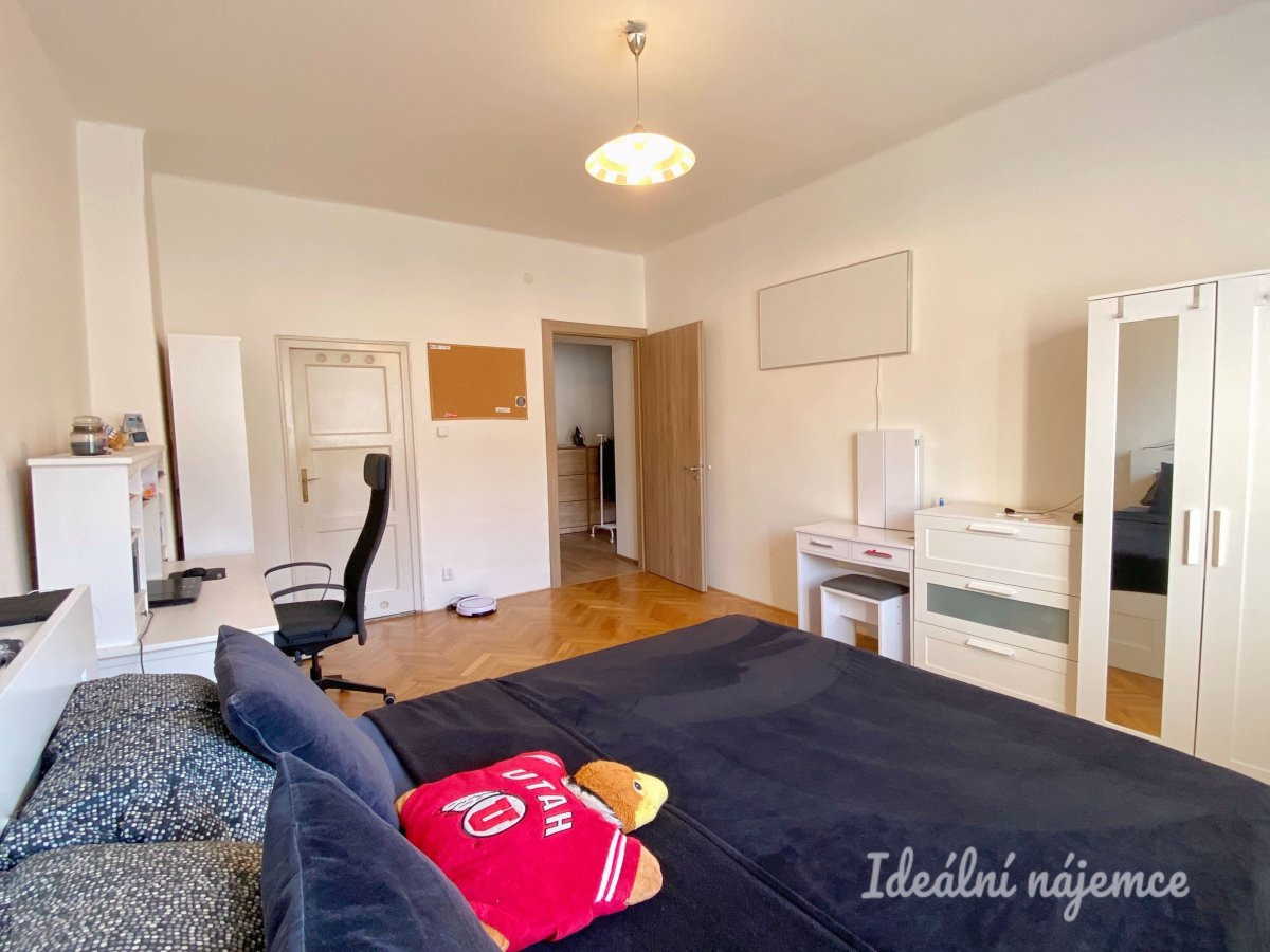 Pronájem bytu 1+1, V Horkách, Nusle, 19500 Kč/měs, 52 m2