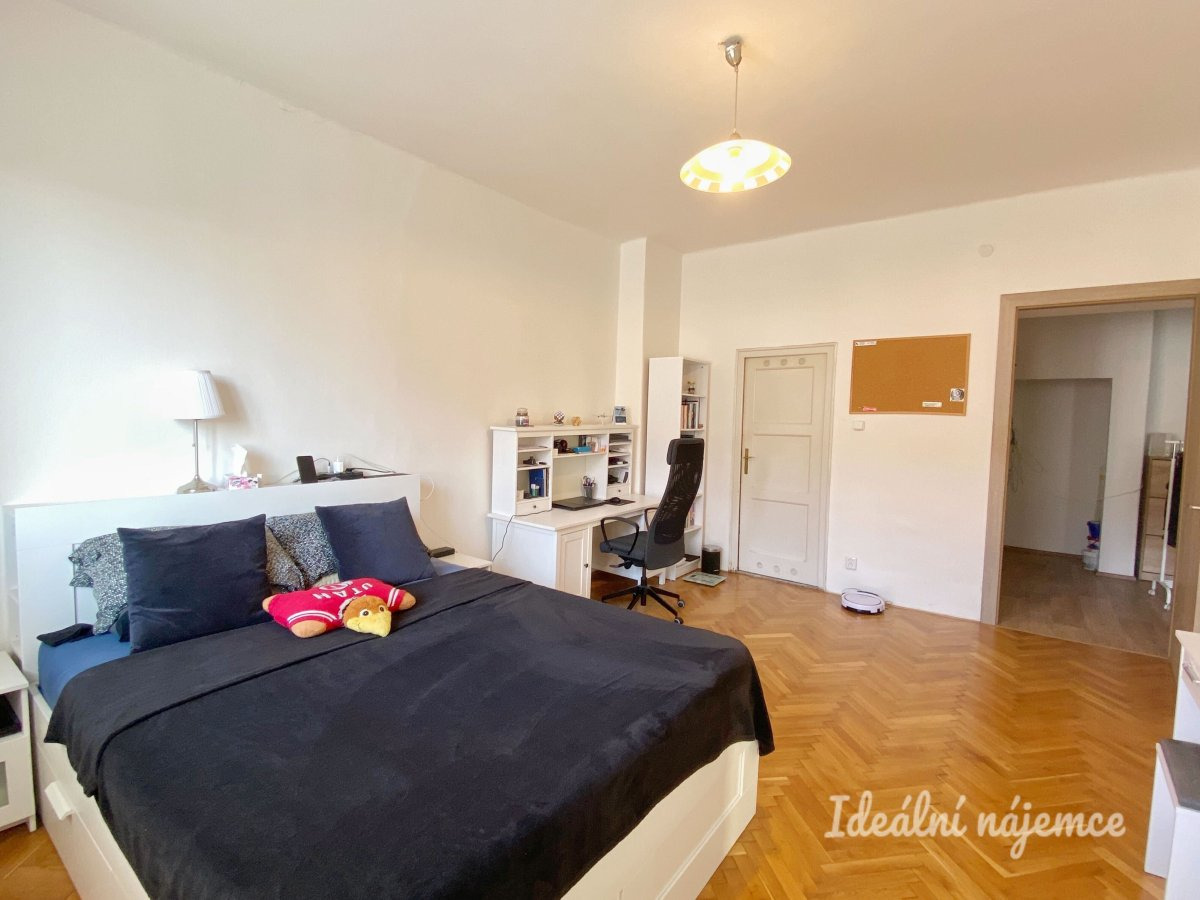 Pronájem bytu 1+1, V Horkách, Nusle, 19500 Kč/měs, 52 m2