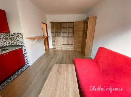 Pronájem bytu, 1+kk, 24 m²