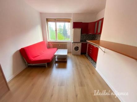 Pronájem bytu, 1+kk, 24 m²