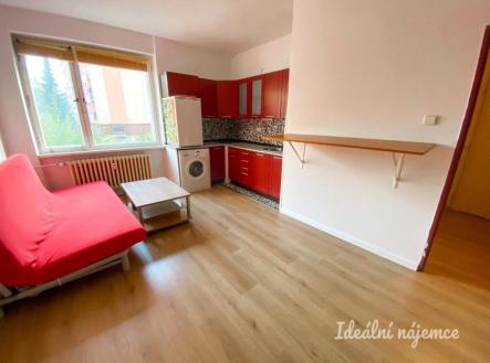 Pronájem bytu, 1+kk, 24 m²