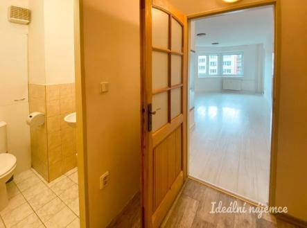Pronájem bytu, 2+1, 54 m²