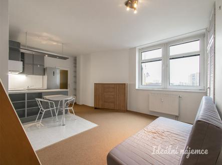 Pronájem bytu, 1+kk, 41 m²