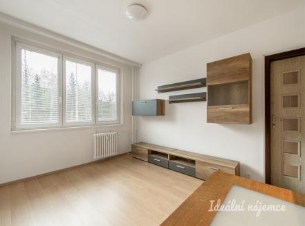 Pronájem bytu, 2+kk, 42 m²