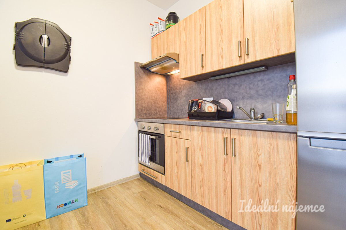 Pronájem bytu 1+kk, Svitavská, Husovice, 29 m2