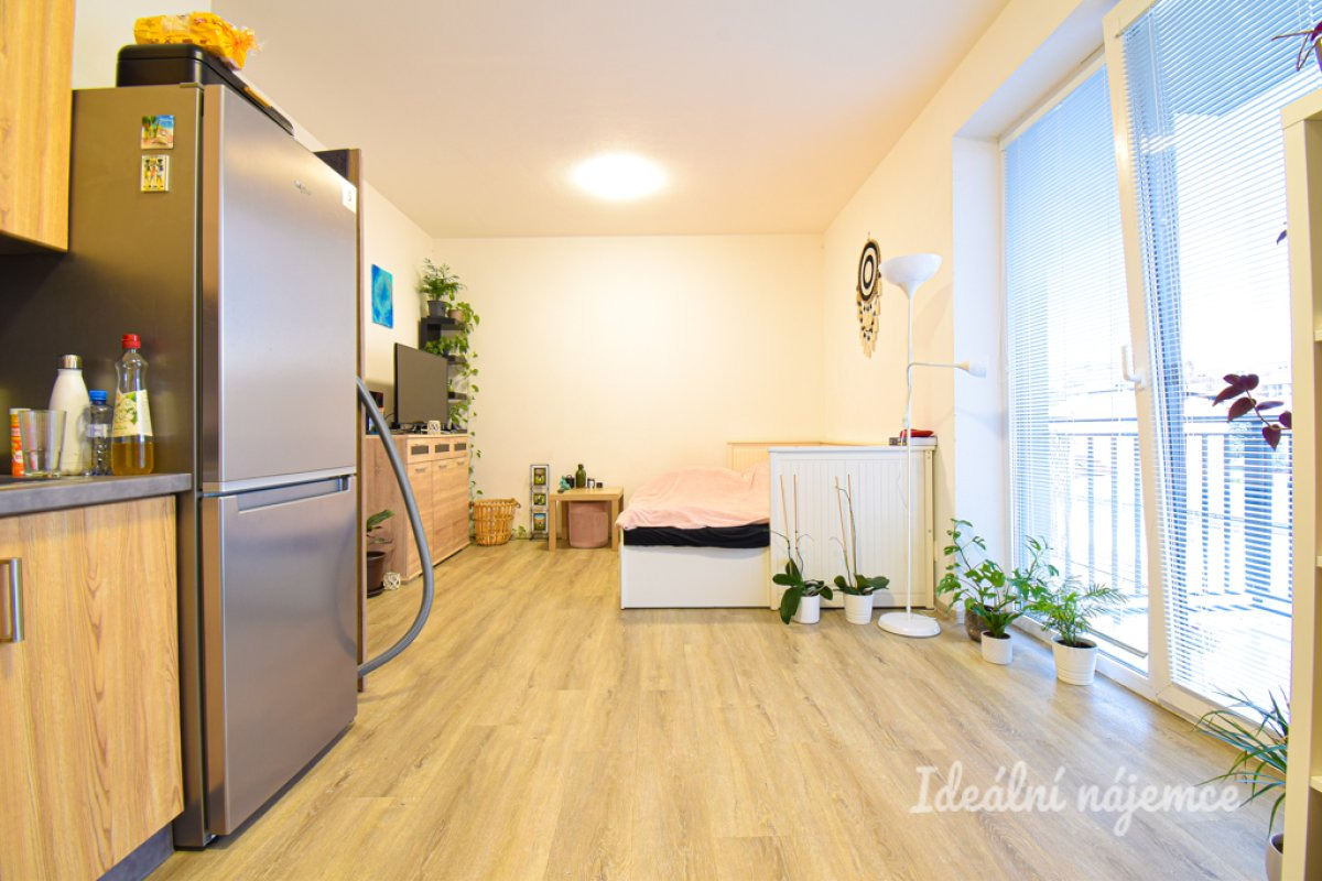 Pronájem bytu 1+kk, Svitavská, Husovice, 29 m2