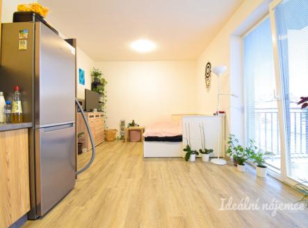 Pronájem bytu, 1+kk, 29 m²