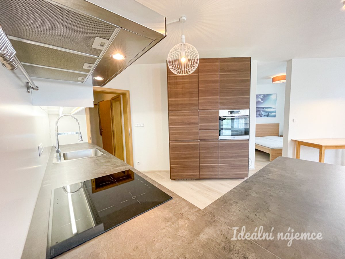 Pronájem bytu 1+kk, Božetěchova, Královo Pole, 16 900 Kč/měs, 61 m2