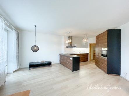 Pronájem bytu, 1+kk, 61 m²