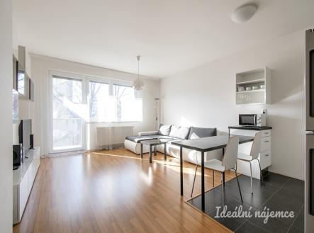 Pronájem bytu, 1+kk, 42 m²