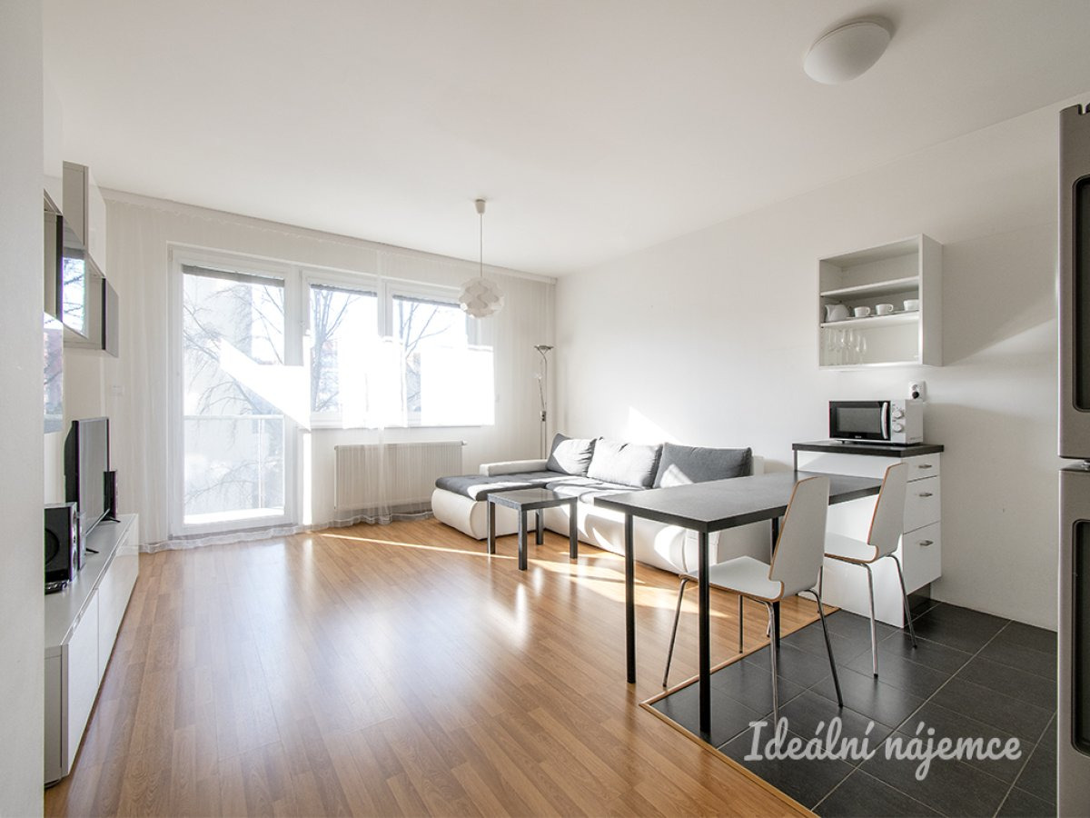 Pronájem bytu 1+kk, Matějkova, Libeň, 21000 Kč/měs, 42 m2