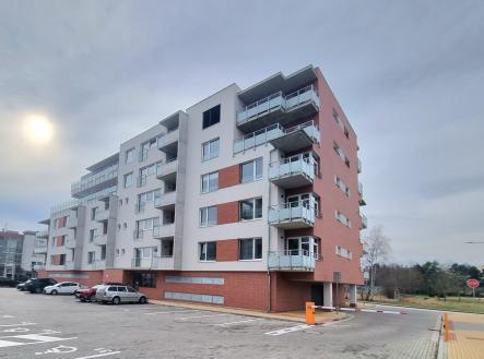 Pronájem bytu, 1+kk, 41 m² obrázek
