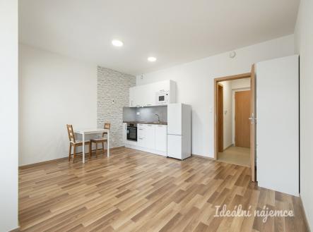 Pronájem bytu, 1+kk, 33 m²