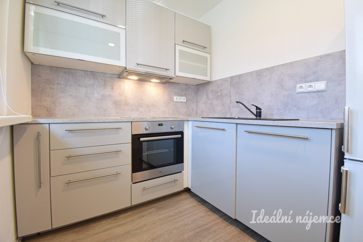 Pronájem bytu 1+1, 15 400 Vídeňská, Štýřice, 40 m2