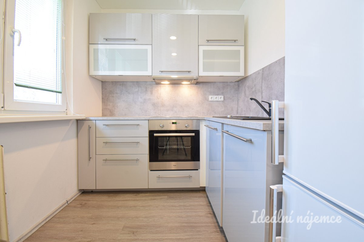 Pronájem bytu 1+1, 15 400 Vídeňská, Štýřice, 40 m2