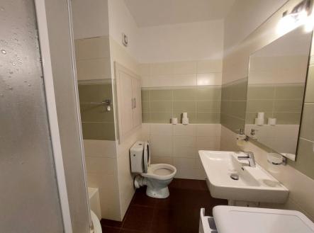 Pronájem bytu, 1+1, 36 m²