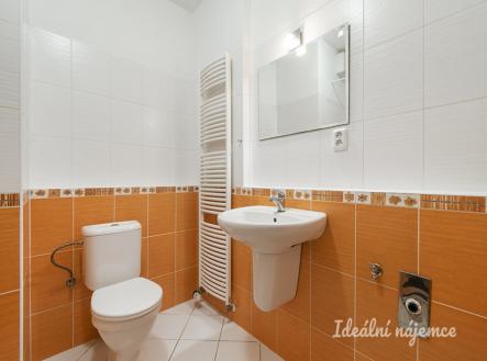 Pronájem bytu, 1+kk, 34 m²