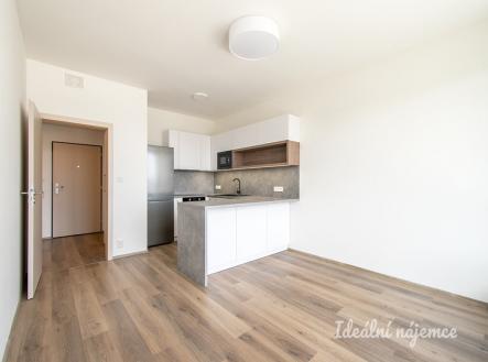 Pronájem bytu, 2+kk, 48 m²