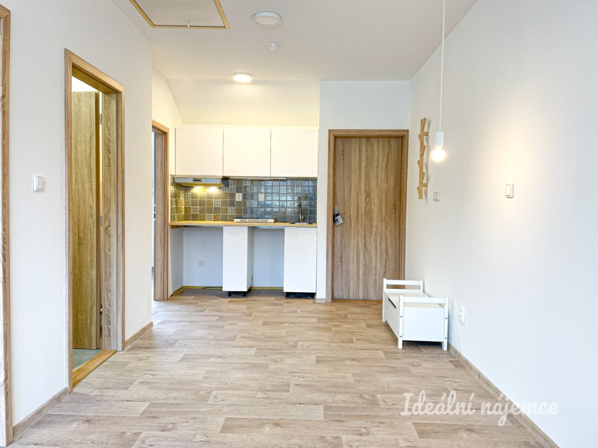 Pronájem bytu 3+kk, Šimáčkova, Líšeň, 36 m2