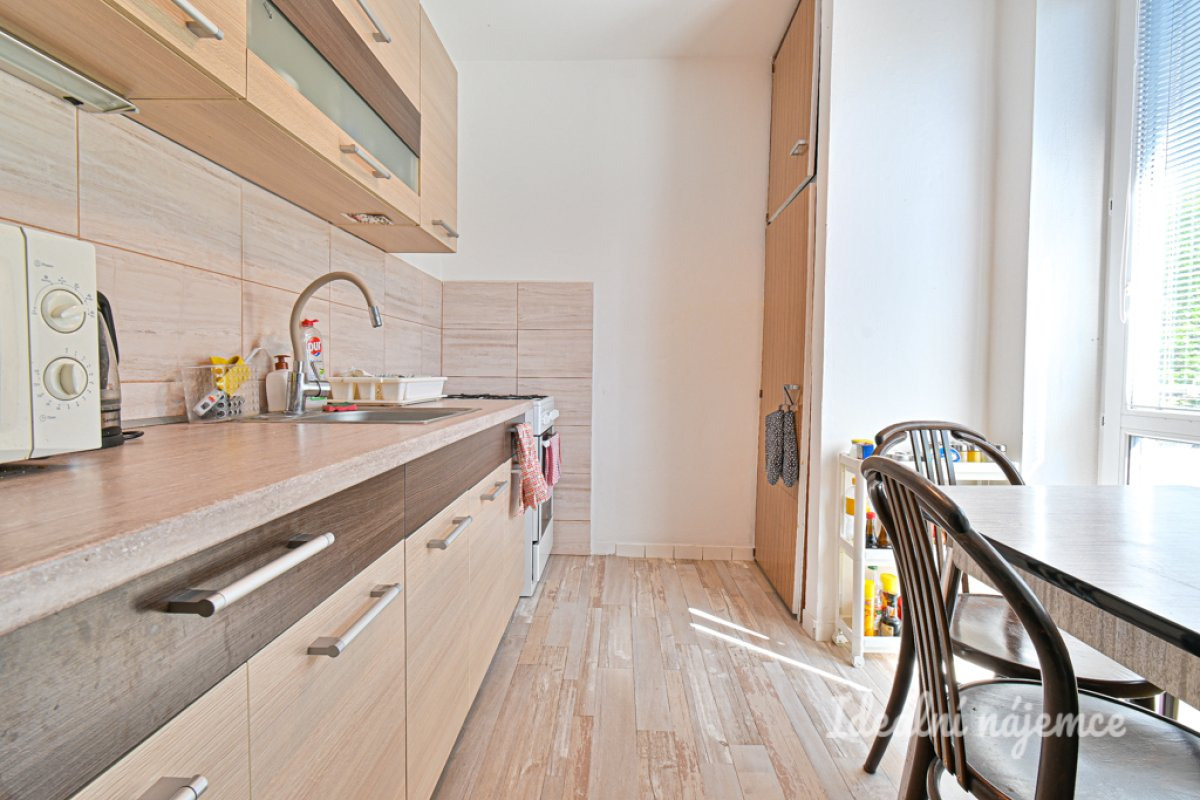 Pronájem bytu 2+1, Úvoz, Staré Brno, 55 m2