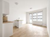 Pronájem bytu, 1+kk, 31 m²