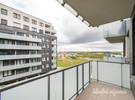 Pronájem bytu, 1+kk, 31 m²