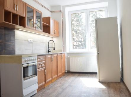 Pronájem bytu, 1+1, 45 m² obrázek