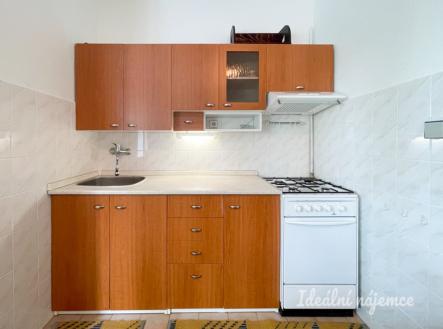Pronájem bytu, 1+1, 43 m² obrázek