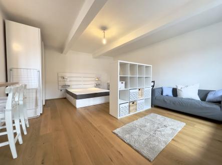 Pronájem bytu, 1+1, 46 m² obrázek