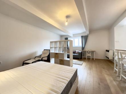 Pronájem bytu, 1+1, 46 m²
