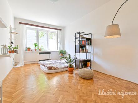 Pronájem bytu, 1+1, 35 m² obrázek