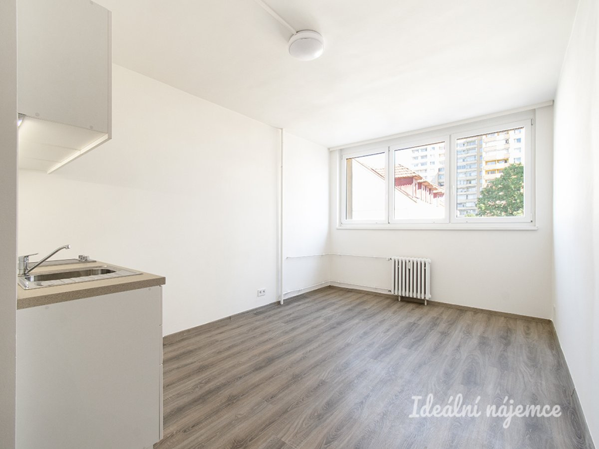 Pronájem bytu 1+kk, Děčínská, Střížkov, 13800 Kč/měs, 24 m2