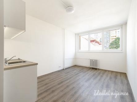 Pronájem bytu, 1+kk, 24 m²