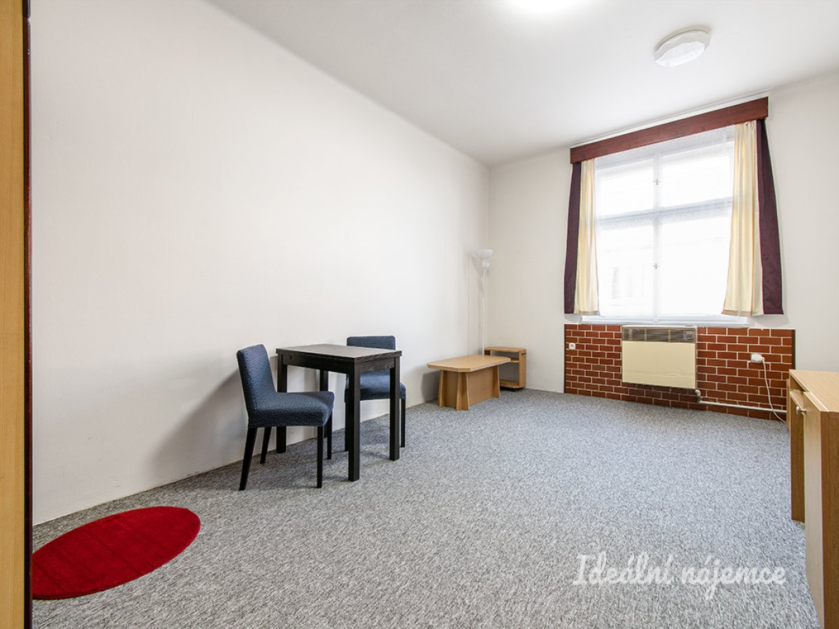 Pronájem bytu 1+kk, náměstí Jiřího z Lobkovic, Vinohrady, 15500 Kč/měs, 27 m2