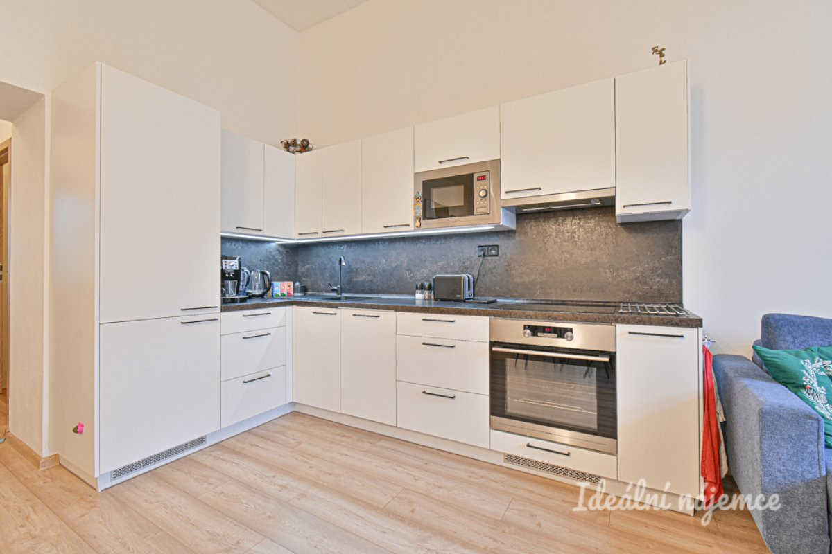 Pronájem bytu 2+kk, Vlhká, Zábrdovice, 51 m2