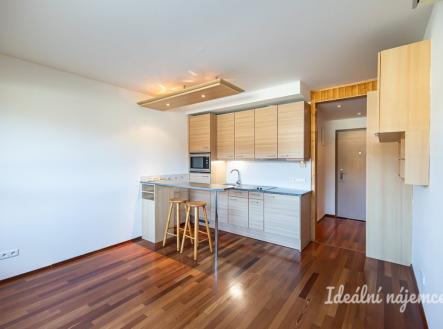Pronájem bytu, 1+kk, 22 m²