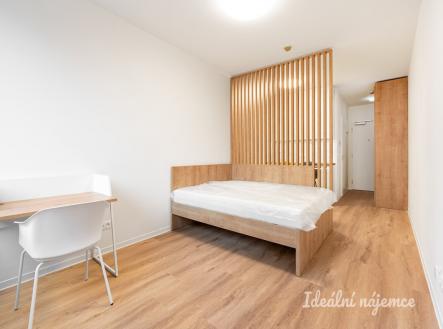 Pronájem bytu, 1+kk, 27 m² obrázek