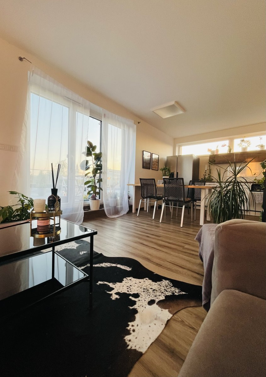 Pronájem bytu 4+kk a 72m2 terasa, 2x garáž, Tomkova, Hejčín, 29 000 Kč/měs, 96 m2