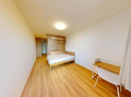 Pronájem bytu, 1+kk, 27 m²