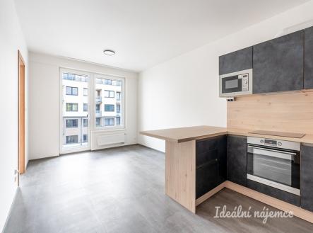 Pronájem bytu, 2+kk, 49 m²