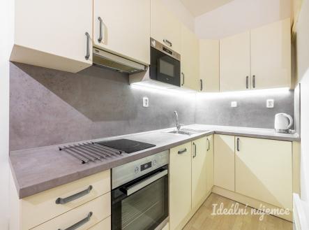 Pronájem bytu, 1+1, 43 m²