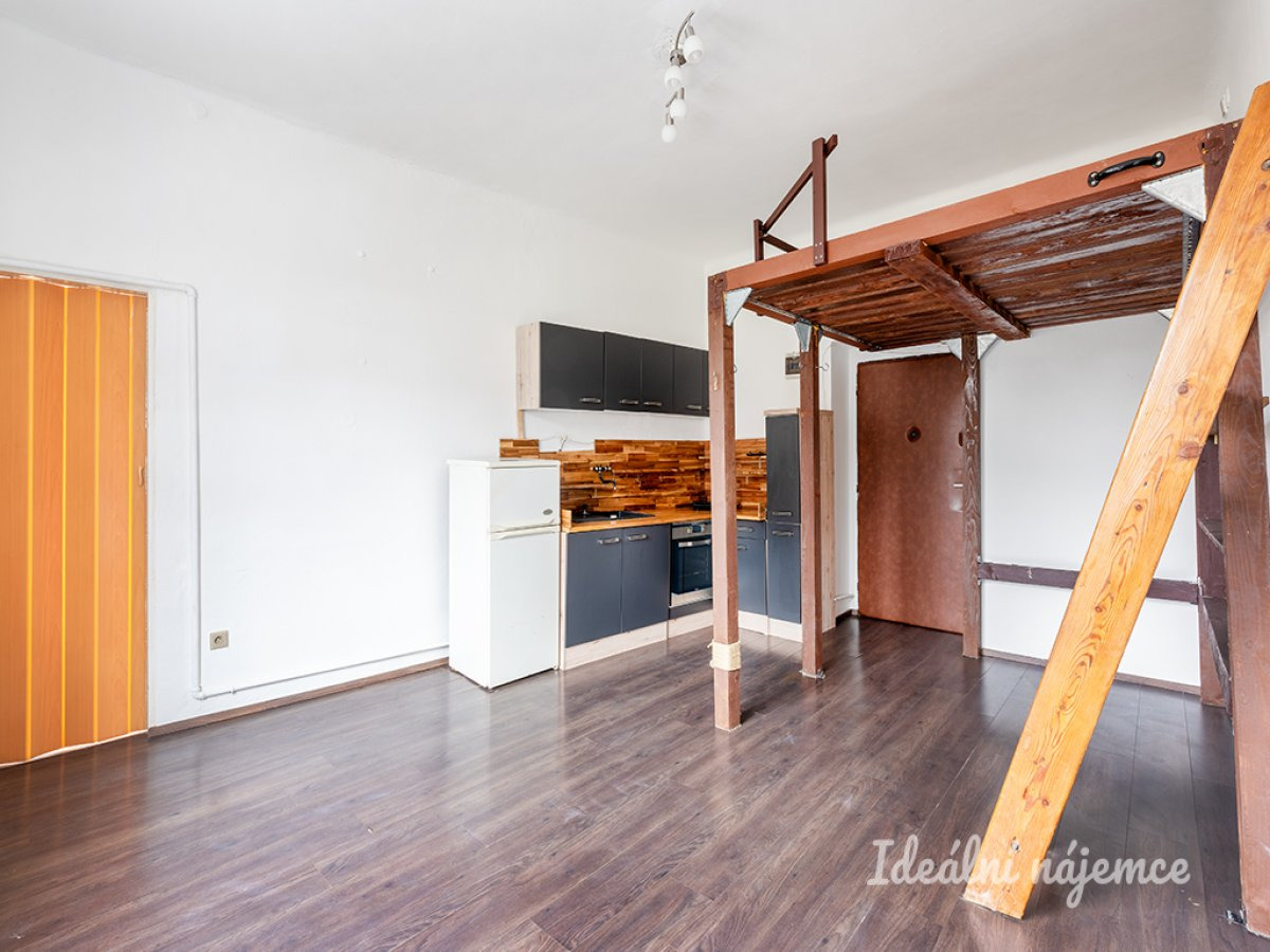 Pronájem bytu 1+kk, Michelská, Michle, 13800Kč/měs, 25 m2