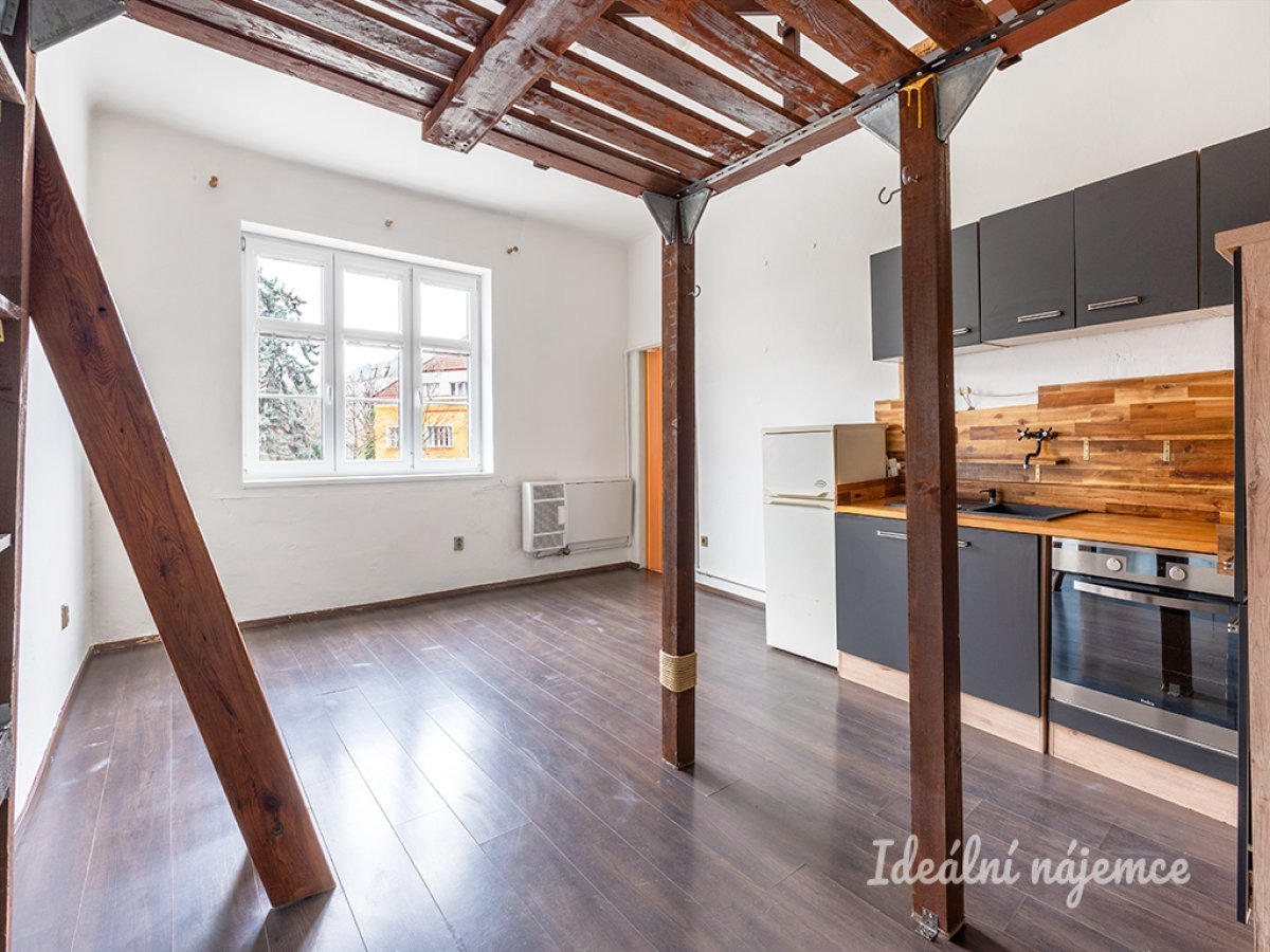 Pronájem bytu 1+kk, Michelská, Michle, 14200Kč/měs, 25 m2