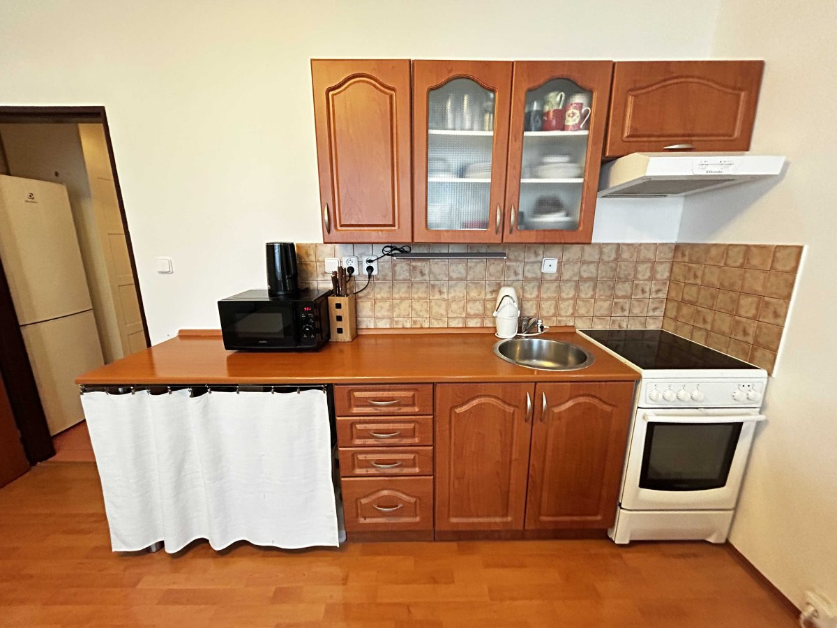 Pronájem bytu 1+kk, Otradovická, Kamýk, 13 490 Kč/měs, 35 m2