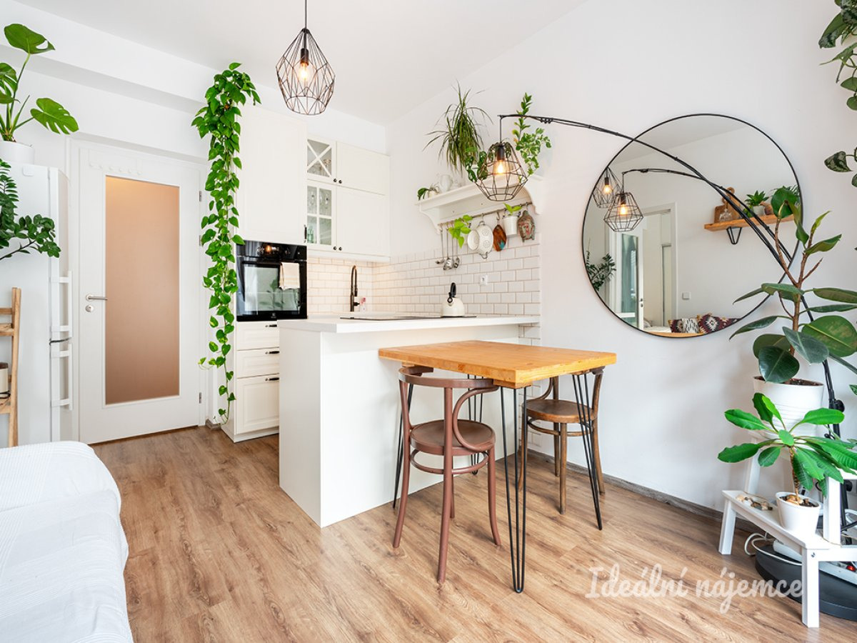 Pronájem bytu 2+kk, Košická, Vršovice, 31.500,- / 48 m2 s parkováním