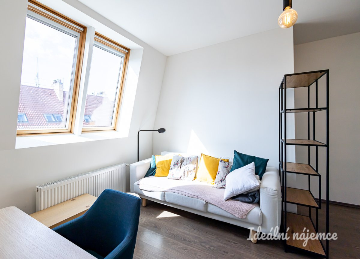 Pronájem bytu 2+kk, Biskupcova, Žižkov,  44 m2