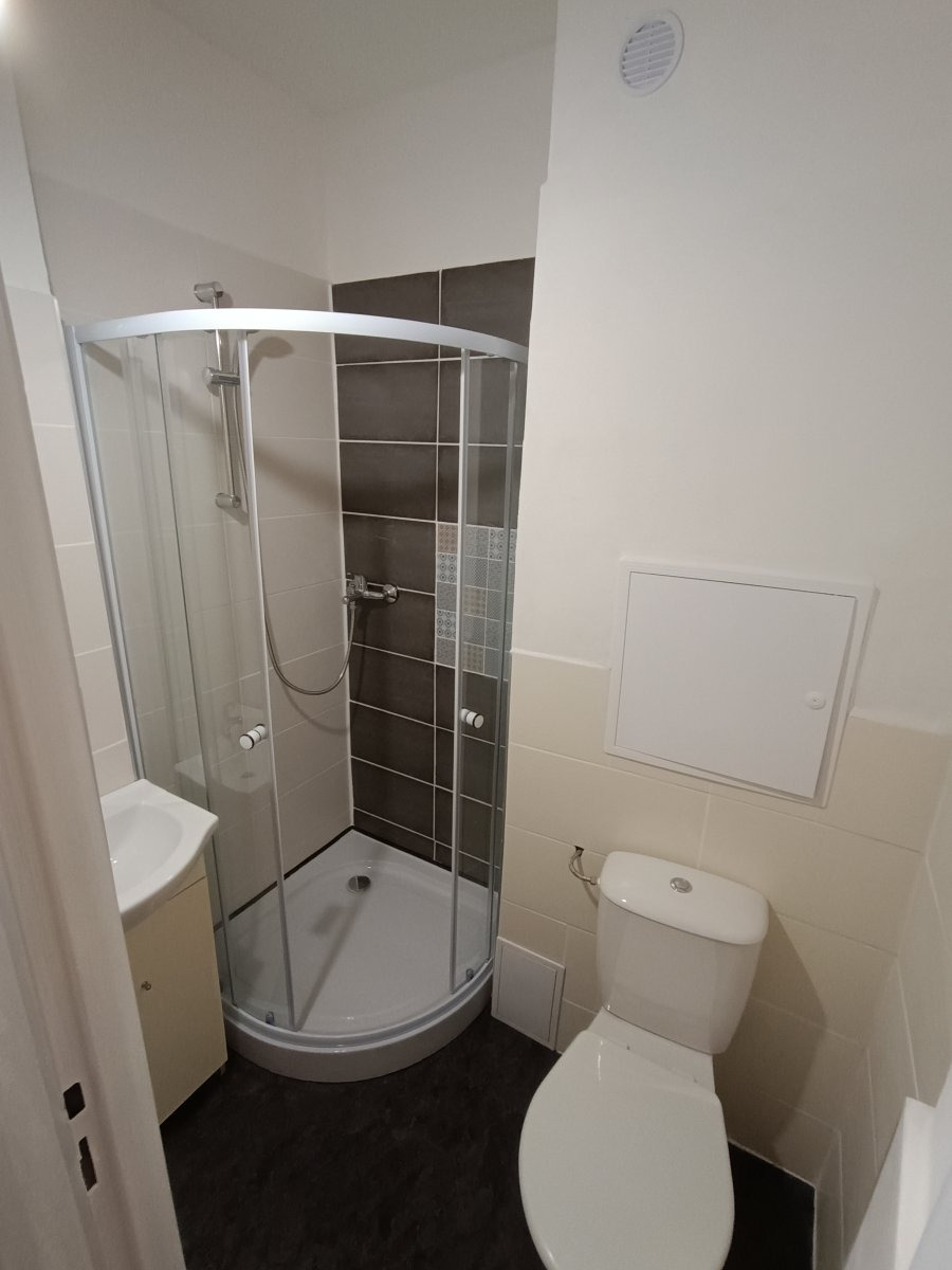 Pronájem bytu 1+kk, Aleše Hrdličky, Poruba-sever, 8900 Kč/měs, 24 m2