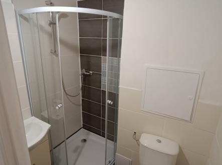 Pronájem bytu, 1+kk, 24 m²
