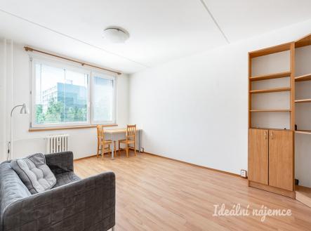 Pronájem bytu, 1+kk, 29 m²