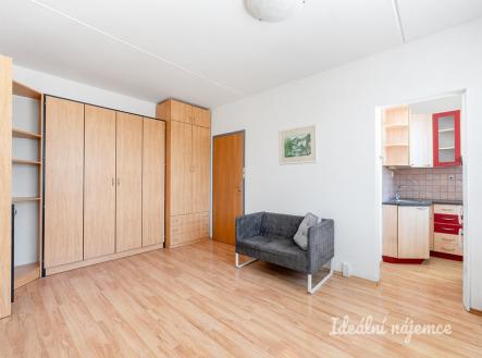 Pronájem bytu, 1+kk, 29 m²